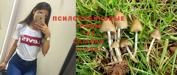 метадон Верея