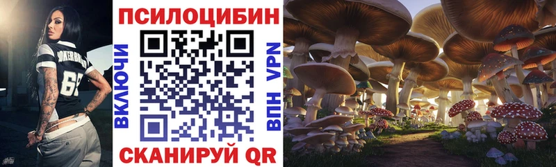 Купить  Ленск  Галлюциногенные грибы прущие грибы 